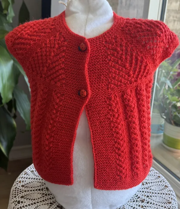 ❤️ Little Ladybug Baby Cardigan